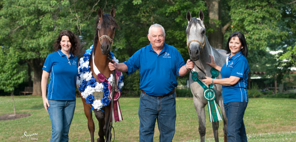 Dreamco-ee-family-2-horses-slider